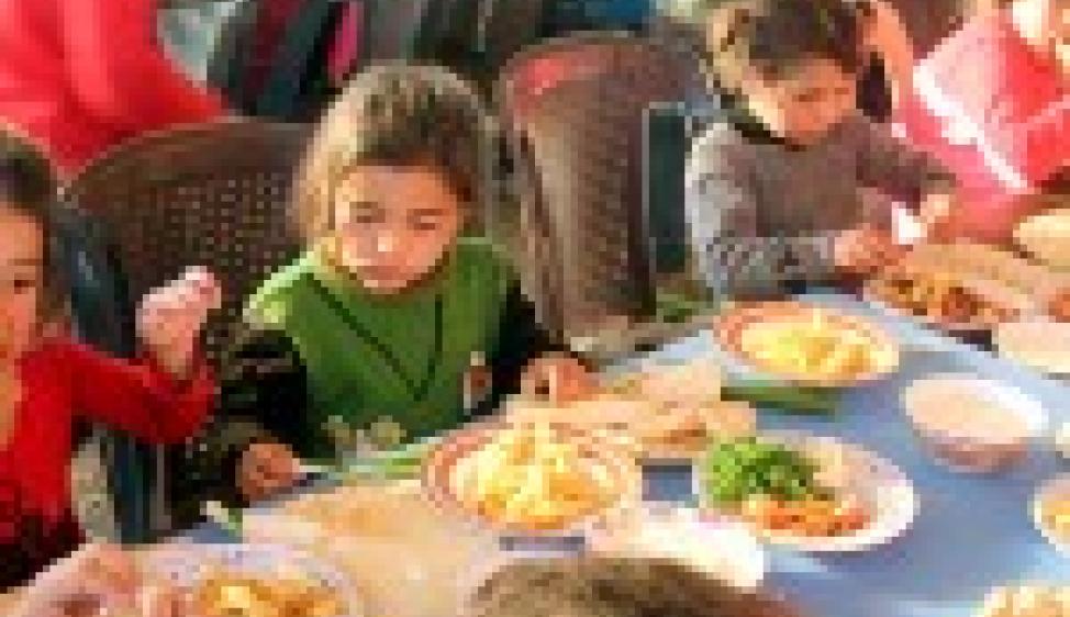 Healthy Meals to Orphans in Syria 12